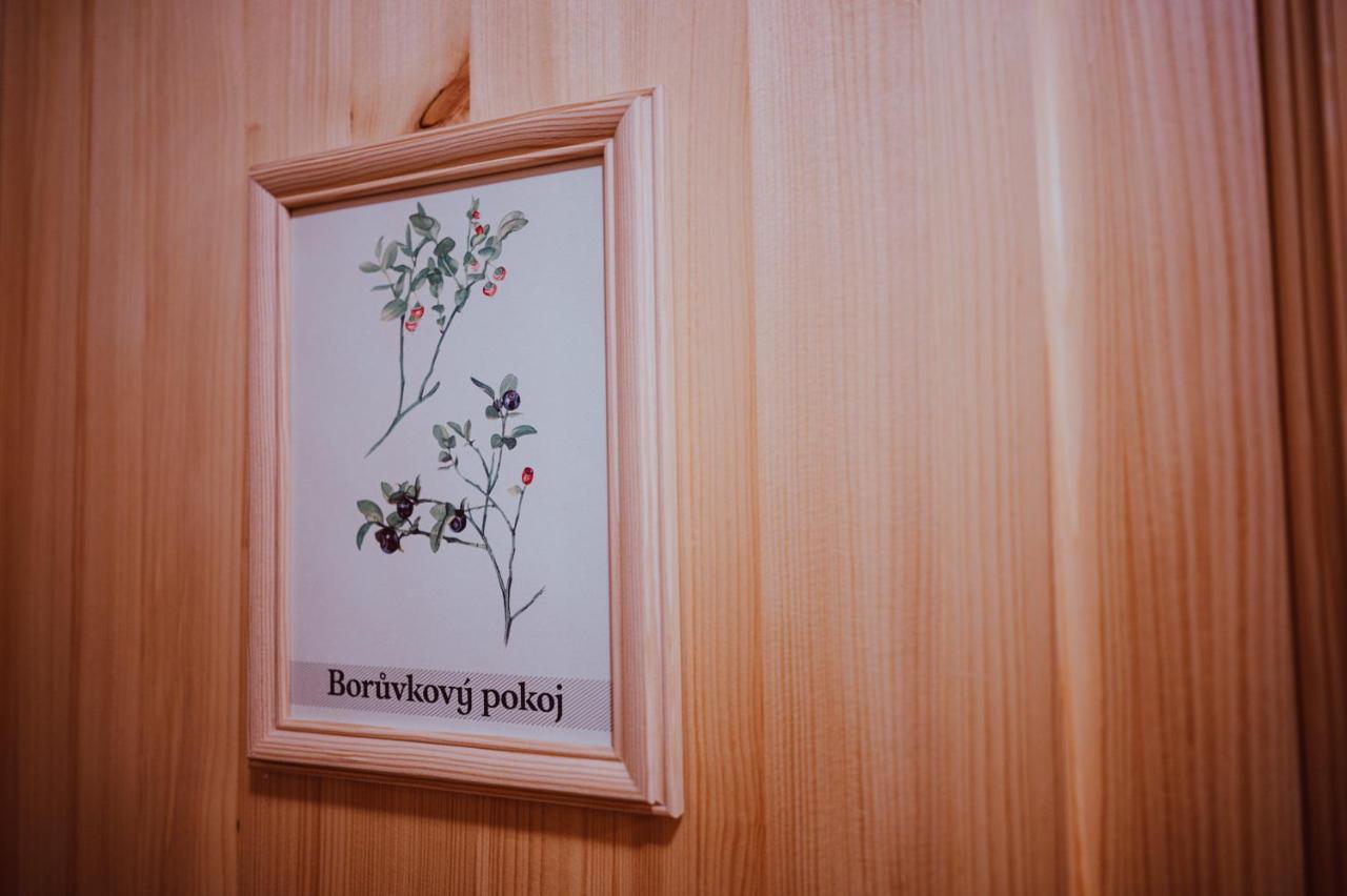 Penzion Brusinka Kocourov  Luaran gambar